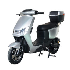 City-Run - Grau Matt, Standard 48V20Ah herausnehmbar (ca. 27kg)